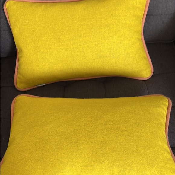 Blu Dot Lumbar Cushions - Picture 13 of 14